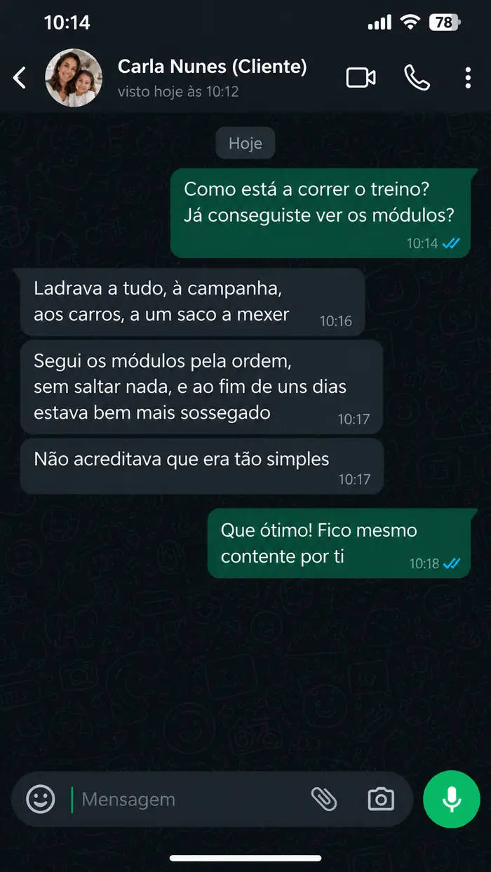 Conversa com Carla Nunes